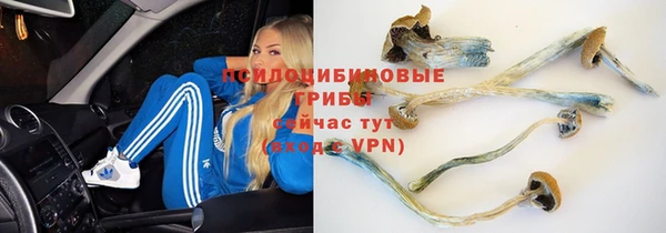 бошки Беломорск