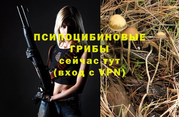 хмурый Белоозёрский
