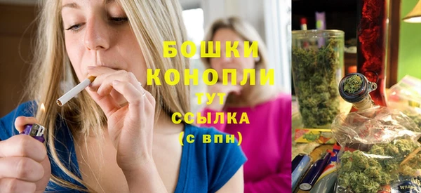 гидропоника Белокуриха