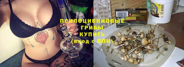 бошки Беломорск