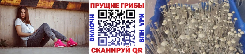 Псилоцибиновые грибы мухоморы  Купить  Гуково 